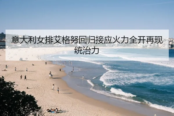 意大利女排艾格努回归接应火力全开再现统治力